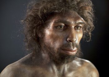 Νέα μέθοδος εντοπίζει DNA από «φαντάσματα» προγόνων