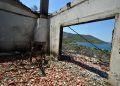 Πόρτο Γερμενό και Μέγαρα: Οργή και συντρίμμια μετά τη μεγάλη φωτιά