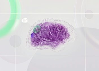 Εγκεφαλικά οργανοειδή επέζησαν σχεδόν έξι χρόνια σε εργαστήριο