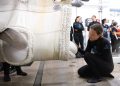 Τέσσερις ακόμη λευκές φάλαινες έφτασαν στο ενυδρείο του Σικάγο