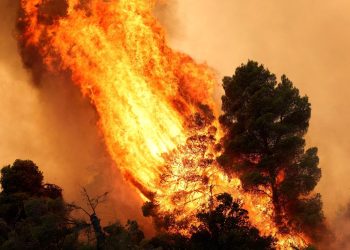 Μελέτη: Η κλιματική αλλαγή μπορεί να τριπλασιάσει τις πυρκαγιές